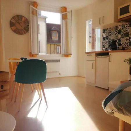 Studio Chaleureux Le Coeur -Troyes Centre Ville Zewnętrze zdjęcie