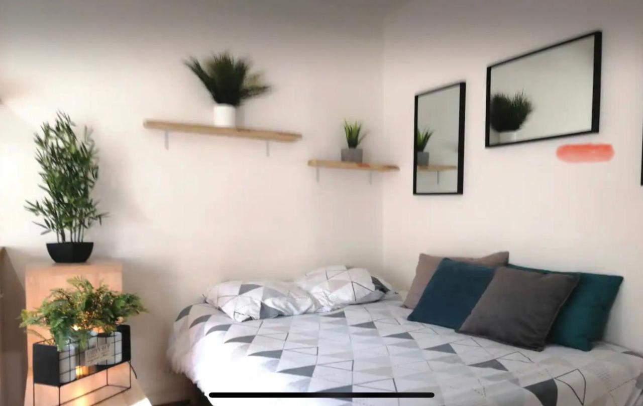 Studio Chaleureux Le Coeur -Troyes Centre Ville Zewnętrze zdjęcie