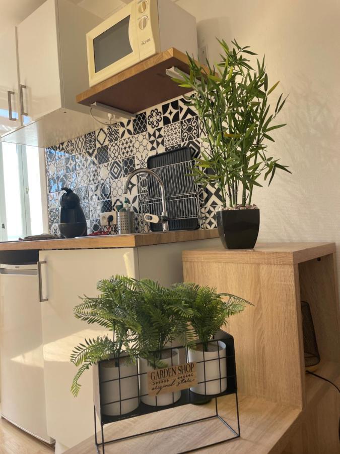 Studio Chaleureux Le Coeur -Troyes Centre Ville Zewnętrze zdjęcie
