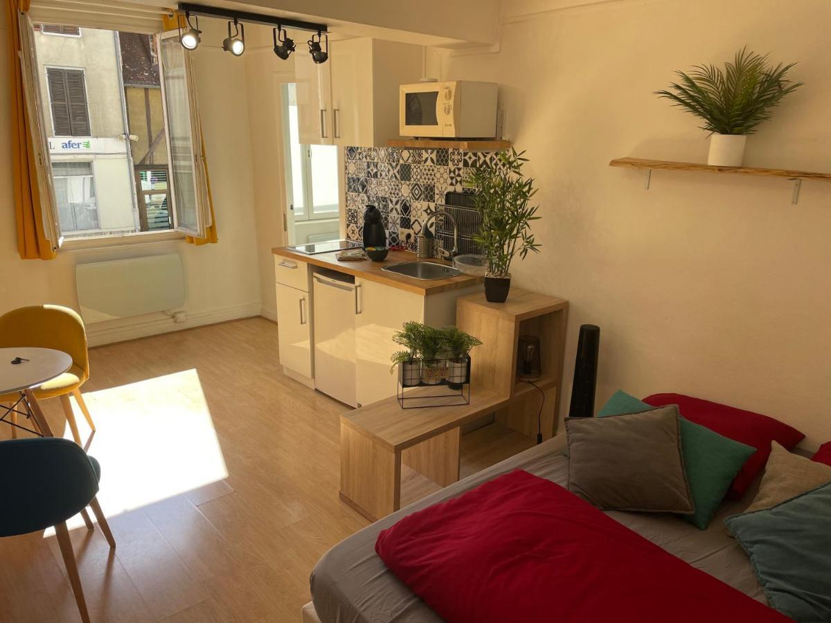 Studio Chaleureux Le Coeur -Troyes Centre Ville Zewnętrze zdjęcie
