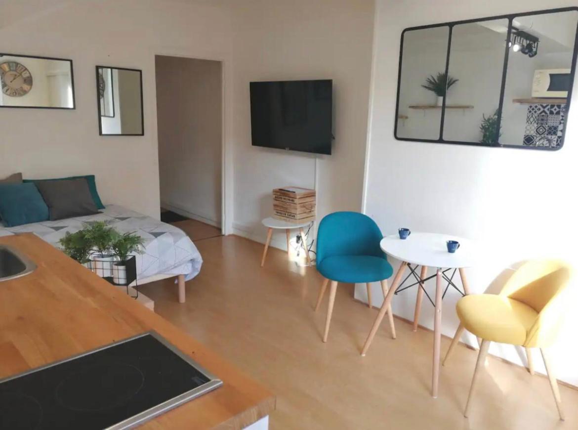 Studio Chaleureux Le Coeur -Troyes Centre Ville Zewnętrze zdjęcie